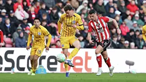 Sunderland 14MAR26 Prints: Sunderland v Brighton and Hove Albion
Premier League
14MAR26