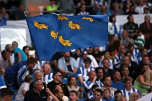Nottingham Forest 12AUG16 Prints: Sussex Martlets Flag Waves Proudly at Brighton and Hove Albion vs