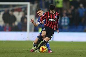 Images Dated 10th February 2015: Teixeira in Action: Cardiff City vs. Brighton & Hove Albion, Sky Bet Championship (10FEB15)