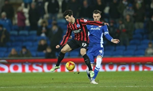 Cardiff City Prints: Teixeira's Midfield Masterclass: Cardiff vs. Brighton, Sky Bet Championship 2015
