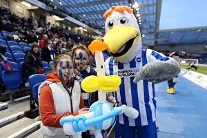 Hull City - 09-02-2013 Prints: Thrilling Crowds at Brighton & Hove Albion's The Amex Stadium (2012-2013)