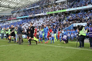 Images Dated 29th April 2017: Thrilling EFL Sky Bet Championship Showdown: Brighton & Hove Albion vs