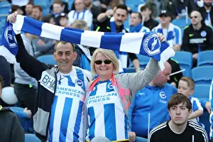 Thrilling EFL Sky Bet Championship Showdown: Brighton & Hove Albion vs. Bristol City (29APR17)
