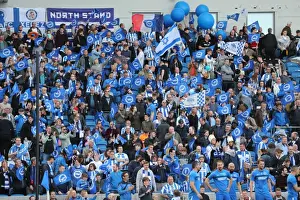 Thrilling EFL Sky Bet Championship Showdown: Brighton & Hove Albion vs. Bristol City (29APR17)