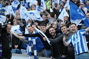 Thrilling EFL Sky Bet Championship Showdown: Brighton & Hove Albion vs. Bristol City (29APR17)