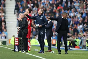 Thrilling EFL Sky Bet Championship Showdown: Brighton & Hove Albion vs. Bristol City (29APR17)