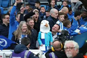 Thrilling EFL Sky Bet Championship Showdown: Brighton & Hove Albion vs. Bristol City (29APR17) - American Express Community Stadium