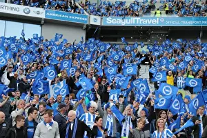 Thrilling EFL Sky Bet Championship Showdown: Brighton & Hove Albion vs. Bristol City at American Express Community Stadium (29th April 2017)