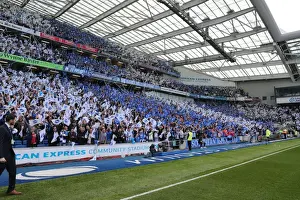 Thrilling EFL Sky Bet Championship Showdown: Brighton & Hove Albion vs. Bristol City (29APR17)
