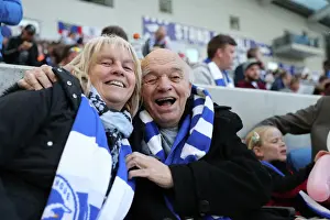 Thrilling EFL Sky Bet Championship Showdown: Brighton & Hove Albion vs. Bristol City at the American Express Community Stadium (29th April 2017)