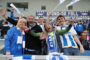Thrilling EFL Sky Bet Championship Showdown: Brighton & Hove Albion vs. Bristol City (29APR17)