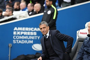 A Tight Championship Clash: Brighton and Hove Albion vs. Wigan Athletic (17APR17)