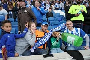 A Tight EFL Sky Bet Championship Clash: Brighton & Hove Albion vs. Bristol City (29APR17)