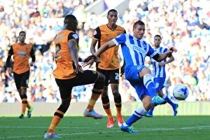 Images Dated 12th September 2015: Tomer Hemed in Action: Brighton and Hove Albion vs. Hull City, Sky Bet Championship 2015