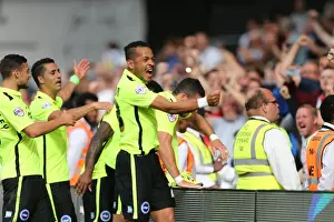 Full Back Prints: Tomer Hemed Scores the Thrilling Winner for Brighton and Hove Albion against Fulham in Sky Bet Championship 2015