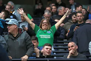 Tottenham Hotspur Gallery: Tottenham Hotspur v Brighton and Hove Albion Premier League 23APR19