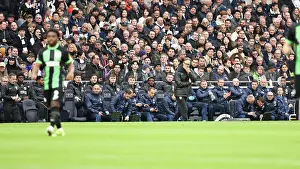 In The Dugout Prints: Tottenham Hotspur v Brighton and Hove Albion Premier League 10FEB24