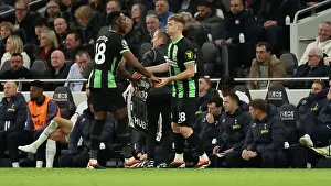 Tottenham Hotspur 10FEB24 Prints: Tottenham Hotspur v Brighton and Hove Albion Premier League 10FEB24