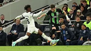 Tottenham Hotspur 10FEB24 Prints: Tottenham Hotspur v Brighton and Hove Albion Premier League 10FEB24