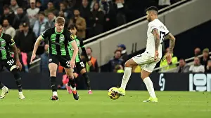 Tottenham Hotspur 10FEB24 Prints: Tottenham Hotspur v Brighton and Hove Albion Premier League 10FEB24