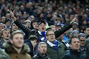 Tottenham Hotspur v Brighton and Hove Albion Premier League 13DEC17