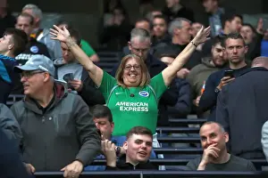 Tottenham Hotspur v Brighton and Hove Albion Premier League 23APR19