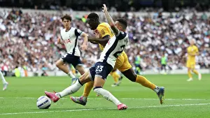 Tottenham Hotspur v Brighton and Hove Albion Premier League 25MAY25
