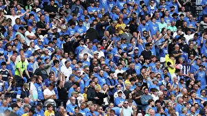 Tottenham Hotspur v Brighton and Hove Albion Premier League 25MAY25