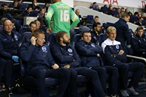 Tottenham vs. Brighton: A Battle in the Capital One Cup, October 2014