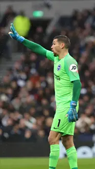 Tottenham Hotspur 26DEC19 Prints: Tottenham vs. Brighton: A Premier League Battle at Tottenham Hotspur Stadium (26DEC19)