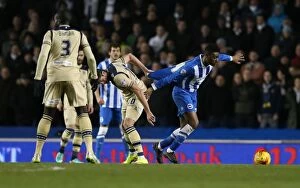 Images Dated 24th February 2015: Tug-of-War in Midfield: Rohan Ince Caught in the Middle during Brighton & Hove Albion vs Leeds