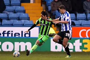 Sheffield Wednesday - 02-02-2013 Prints: Vicente Leads Brighton & Hove Albion to Victory over Sheffield Wednesday, February 2, 2013