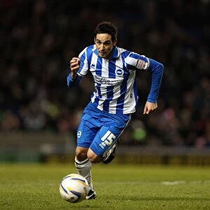 Images Dated 2nd April 2013: Vicente Rodriguez: Brighton and Hove Albion FC's Determined Striker