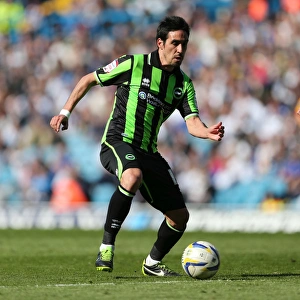 Vicente Rodriguez: A Former Brighton and Hove Albion Star
