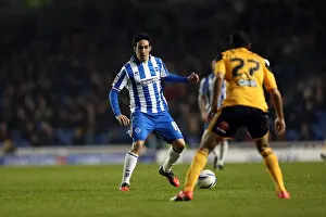 Hull City - 09-02-2013 Prints: Vicente's Thrilling Performance: Brighton & Hove Albion vs Hull City