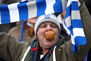 Images Dated 14th January 2012: A Victorious Home Game: Brighton & Hove Albion vs. Bristol City (2011-12)