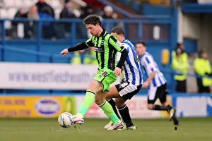 Sheffield Wednesday - 02-02-2013 Prints: Wayne Bridge in Action: Brighton & Hove Albion vs Sheffield Wednesday