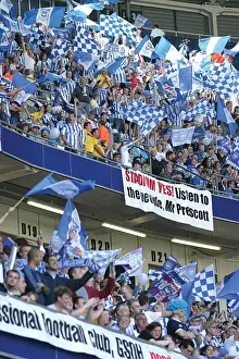Withdean Era: A Sea of Seagulls - Brighton & Hove Albion Crowd Shots