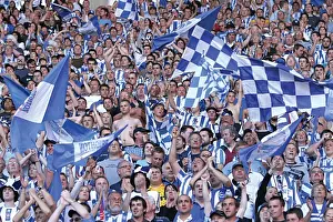 Withdean Era: A Sea of Seagulls - Brighton & Hove Albion Crowd Shots