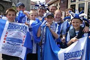 Withdean Era: A Sea of Seagulls - Brighton & Hove Albion Crowd Shots