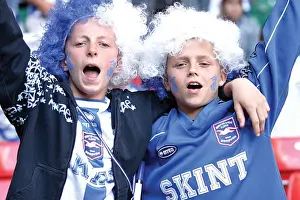 Withdean Era: A Sea of Seagulls - Brighton & Hove Albion Crowd Shots