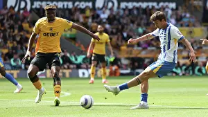 Matt Oriley Prints: Wolverhampton Wanderers v Brighton and Hove Albion Premier League 10MAY25