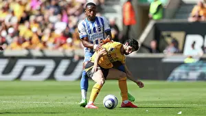Wolverhampton Wanderers v Brighton and Hove Albion Premier League 10MAY25