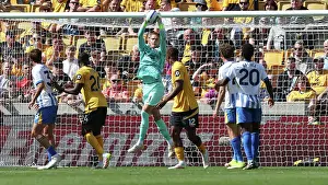 Is Called Into Action Prints: Wolverhampton Wanderers v Brighton and Hove Albion Premier League 10MAY25