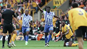 Wolverhampton Wanderers 10MAY25 Prints: Wolverhampton Wanderers v Brighton and Hove Albion Premier League 10MAY25