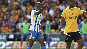 Wolverhampton Wanderers 10MAY25 Prints: Wolverhampton Wanderers v Brighton and Hove Albion Premier League 10MAY25