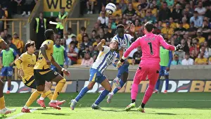 Wolverhampton Wanderers v Brighton and Hove Albion Premier League 10MAY25