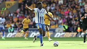 Wolverhampton Wanderers 10MAY25 Prints: Wolverhampton Wanderers v Brighton and Hove Albion Premier League 10MAY25