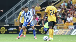 Wolverhampton Wanderers 10MAY25 Prints: Wolverhampton Wanderers v Brighton and Hove Albion Premier League 10MAY25