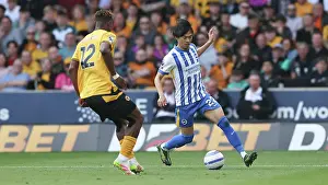 Wolverhampton Wanderers 10MAY25 Prints: Wolverhampton Wanderers v Brighton and Hove Albion Premier League 10MAY25